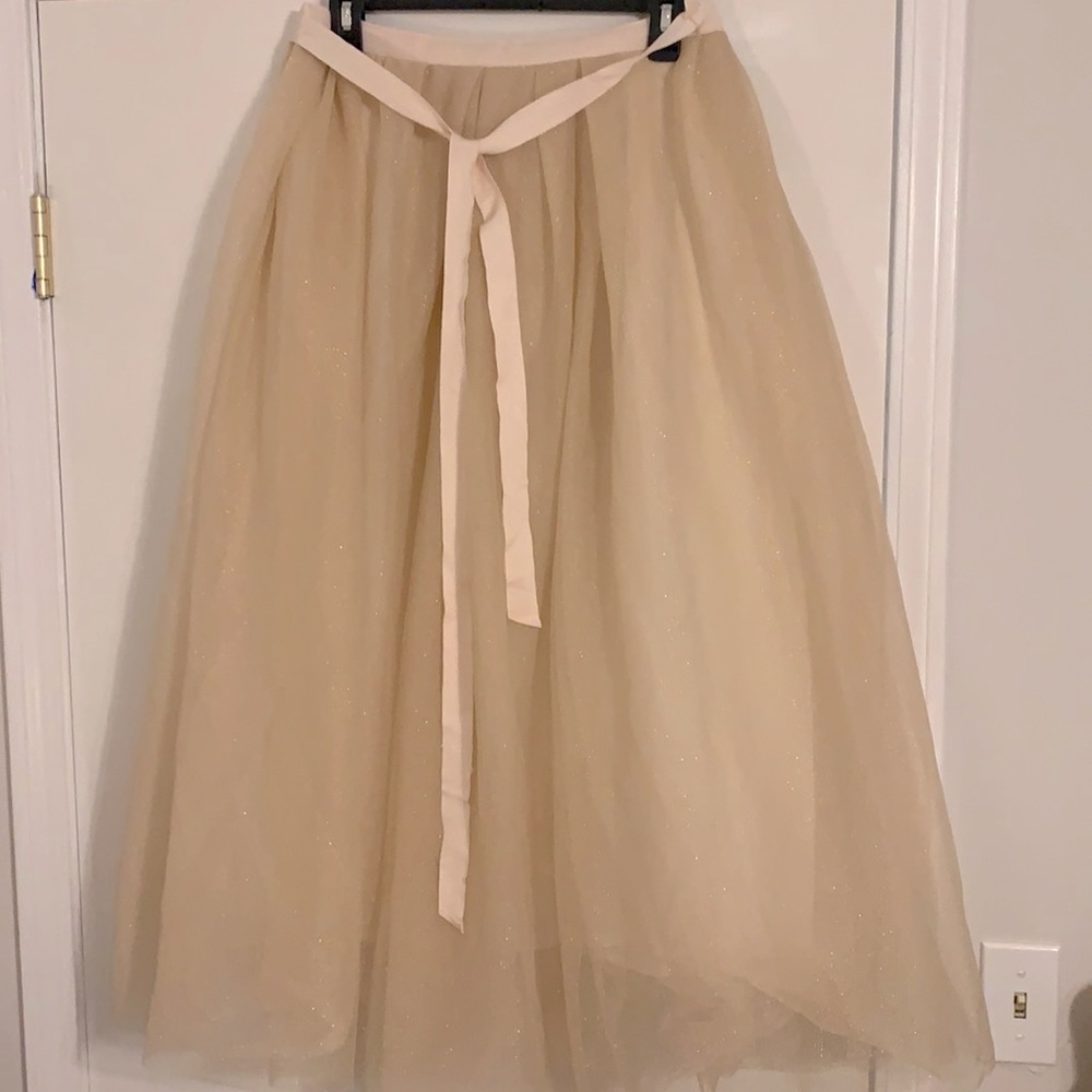 Never worn before J Crew cream tulle skirt